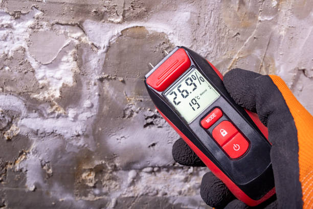 Trusted Lanai City, HI Mold Removal Experts