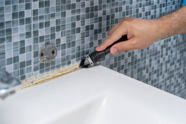 Best Certified Mold Removal  in Lanai City, HI