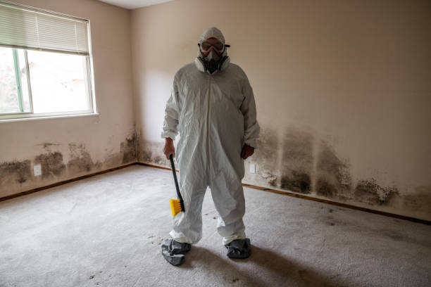 Best Mold Cleaning Services  in Lanai City, HI